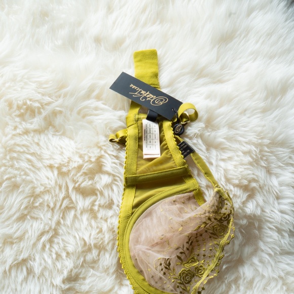 Dita Von Teese 34DD Chartreuse Bra - Picture 3 of 5